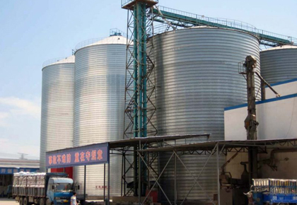 Grain Storage Silo